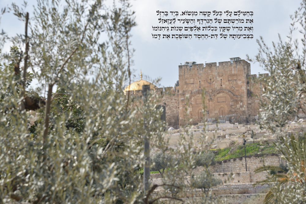 Professor Yossi Gamzu deep in the night deep in jerusalem sapir bronzberg levi ART photography graphic design