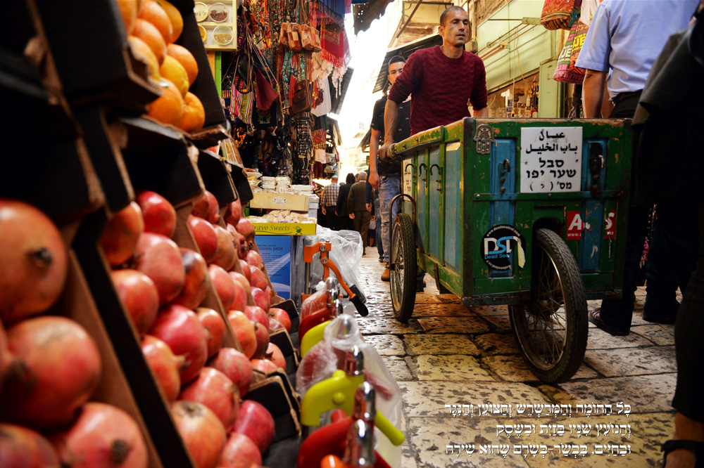 Professor Yossi Gamzu deep in the night deep in jerusalem sapir bronzberg levi ART photography graphic design