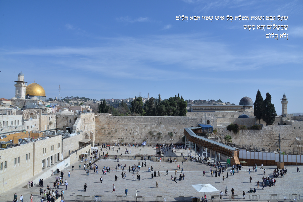 Professor Yossi Gamzu deep in the night deep in jerusalem sapir bronzberg levi ART photography graphic design