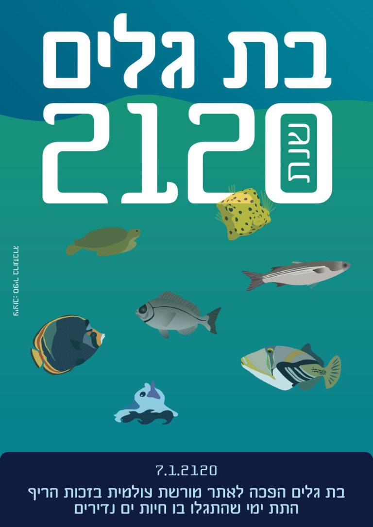 sapir bronzberg levi ART photography graphic design