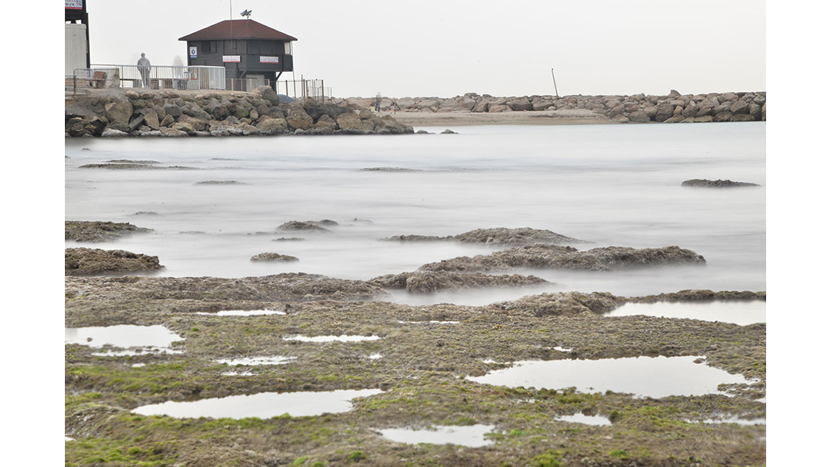 sapir bronzberg levi ART photography graphic design